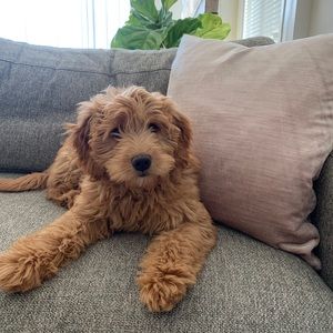 Pieces from my closest that have served me well